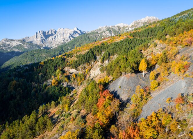 Mines des Puys, Puy-Saint-Pierre Puy-Saint-André, automne 2025 - T.Poinas Galimey Studio (70)