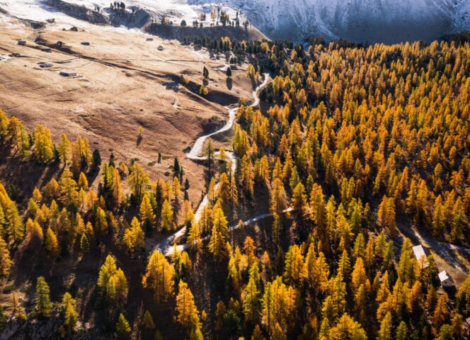 DJI_0065