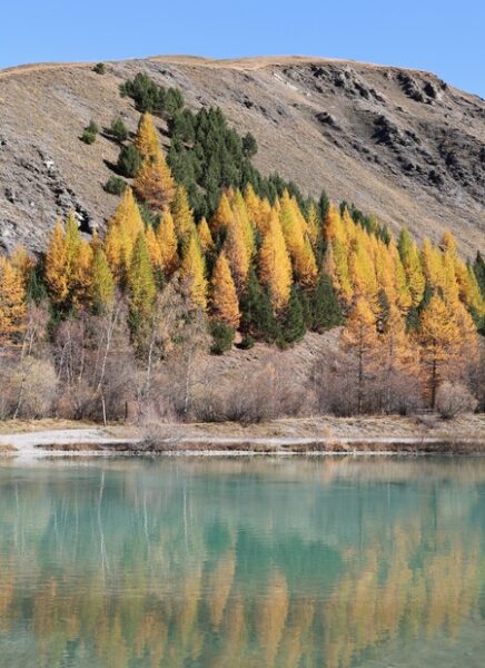 Plan d'eau Arsine, Villar d'Arêne, automne 2025 - Laury Chamerlat (15) (1)