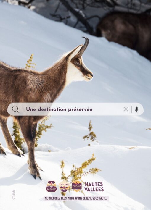 Destination préservée - Faune des Hautes Vallées