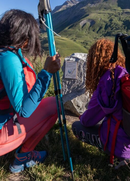 Il sentiero delle crepacci - Arsine in famiglia - 16 - ridimensionato - e1715761321180