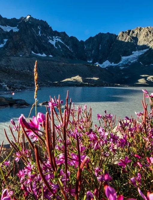 autour-du-col-darsine-c2a9-t.-blais-2