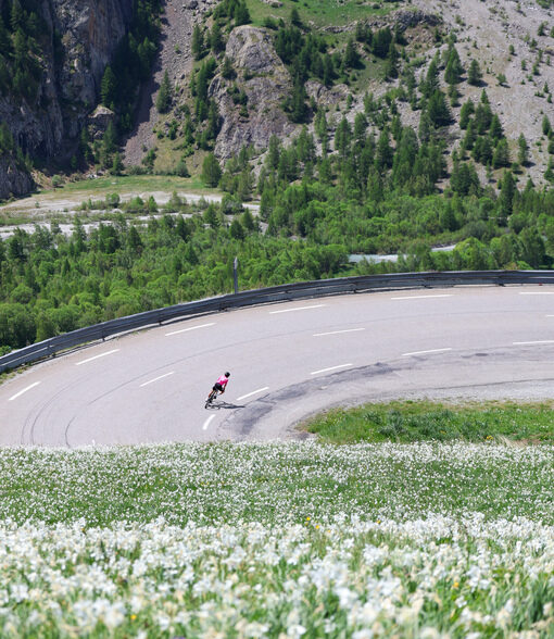 Velo et Narcisses col du Lautaret - Mai 26 - S.MORATTEL (3) (2) (1)