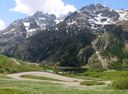 Narcisses col du Lautaret - Mai 26 - S.MORATTEL (15)
