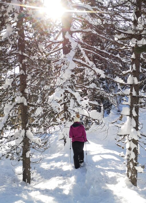 S.Morattel-Raquettes Col de lEchelle-Hiver11 (1) (1)