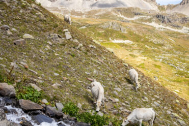 Verso Le Thabor ©Thibaut Blais