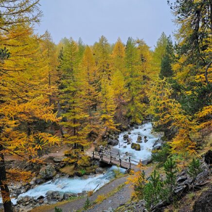 Vallée étroite &amp; lac vert automne - S.Morattel (14)