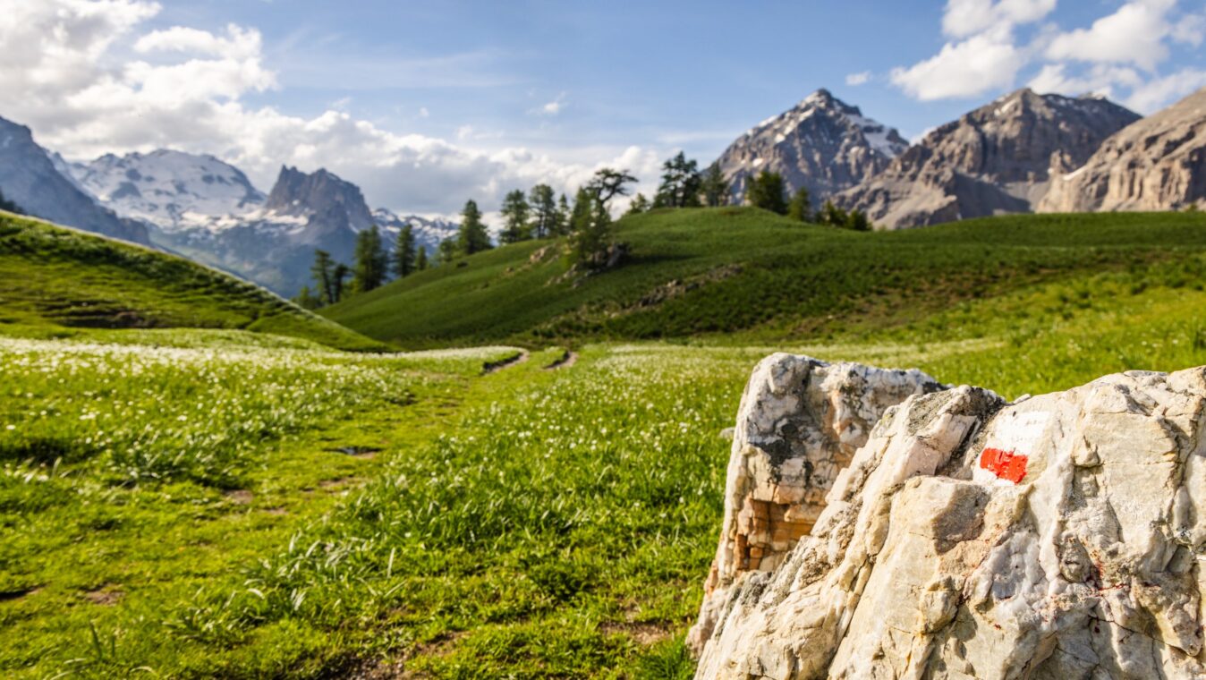 Plateau des thures - lac chavillon ©T.Blais