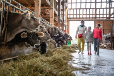Famille-Ferme-de-Pralong-�-alpesphotographies.com-16-scaled