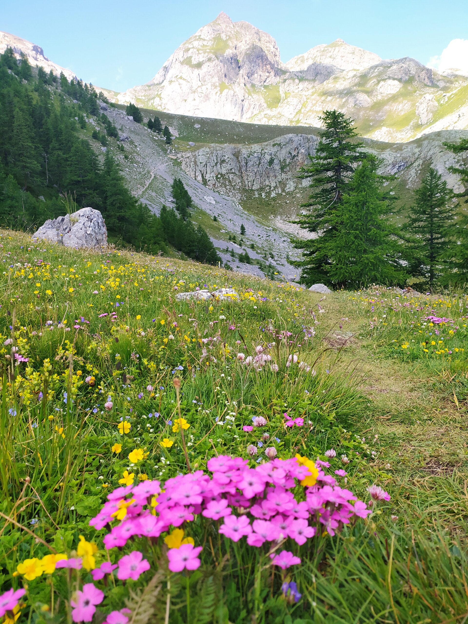 Réserve des Partias - Merdrignac A.