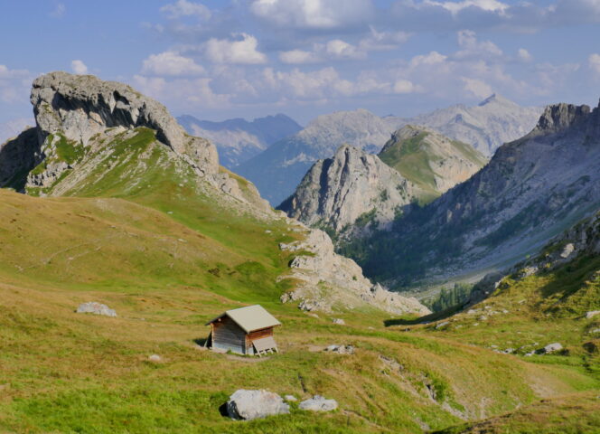 Réserve des Partias - Merdrignac A.