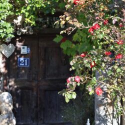 Puy Richard, Puy-Saint-Pierre, automne 2025 - Laury Chamerlat