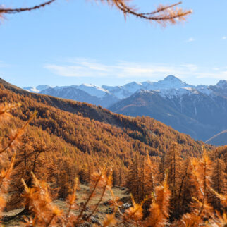 Hike to Col de la Pisse, larch trees, Partias reserve, Puy-Saint-André, fall 2025 - Laury Chamerlat (7)