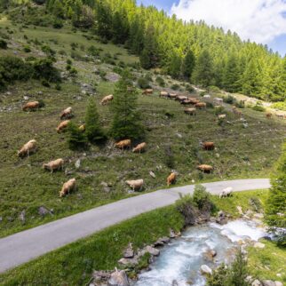 Escalade et pique nique aux ayes-66 (2)